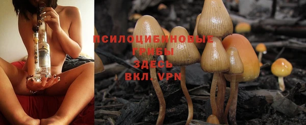 бошки Краснотурьинск