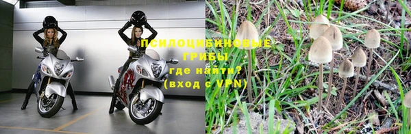 бошки Красноперекопск