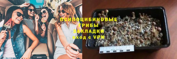 бошки Краснотурьинск