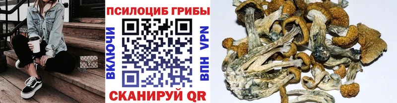 Купить  Курск  Псилоцибиновые грибы ЛСД 