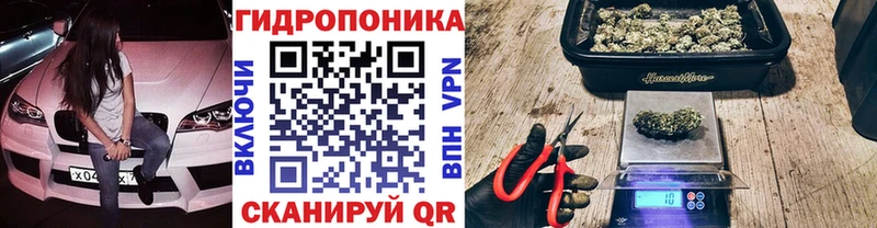 Купить  Курск  МАРИХУАНА семена 